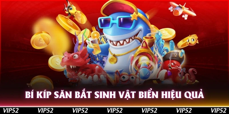 Bí kíp săn bắt sinh vật biển hiệu quả cần cập nhật