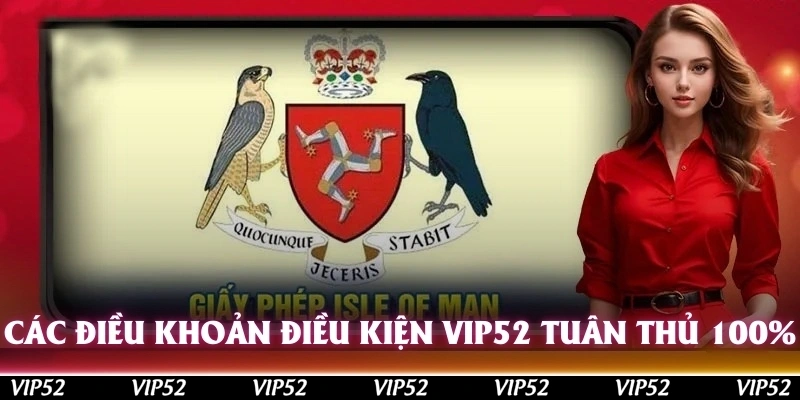 Các điều khoản điều kiện Vip52 cần tuân thủ 100%